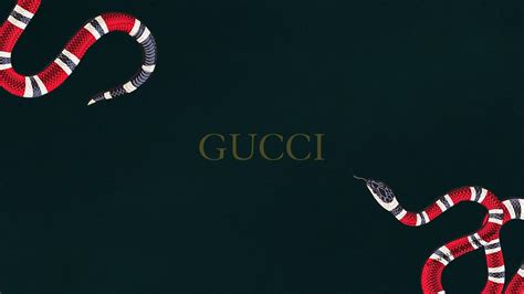 gucci wallapaer|Gucci wallpaper for laptop.